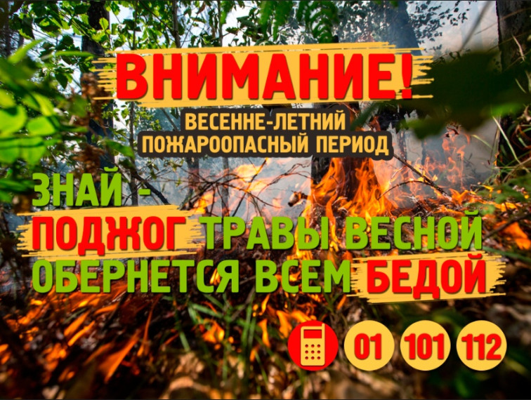 Памятка по профилактике лесных пожаров. Памятка по профилактике лесных пожаров.