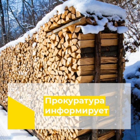 Льготная древесина. Льготная древесина.